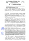 Vista preliminar de documento Resolución Directoral Regional