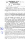 Vista preliminar de documento Resolución Directoral Regional