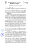 Vista preliminar de documento Resolución Directoral Regional