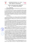 Vista preliminar de documento Resolución Directoral Regional