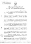Vista preliminar de documento 2014