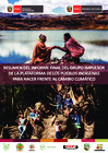 Vista preliminar de documento 4. Sistematización del Informe Final del GI de la PPICC.pdf