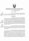 Vista preliminar de documento RD 272-2020-AURORA-DE.pdf