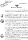 Vista preliminar de documento Resolucion de Dirección General