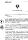 Vista preliminar de documento Resolucion de Dirección General