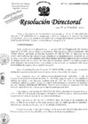 Vista preliminar de documento Resolucion de Dirección General