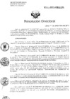 Vista preliminar de documento Resolucion de Dirección General