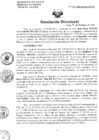 Vista preliminar de documento Resolucion de Dirección General
