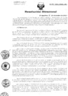 Vista preliminar de documento Resolucion de Dirección General