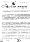 Vista preliminar de documento Resolucion de Dirección General