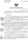 Vista preliminar de documento Resolucion de Dirección General