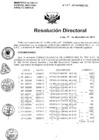 Vista preliminar de documento Resolucion de Dirección General
