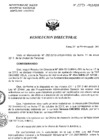 Vista preliminar de documento Resolucion de Dirección General