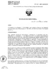 Vista preliminar de documento Resolucion de Dirección General