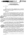 Vista preliminar de documento RDE028-2012