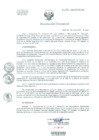 Vista preliminar de documento Resolucion de Dirección General