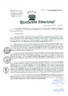 Vista preliminar de documento Resolucion de Dirección General