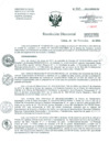 Vista preliminar de documento Resolucion de Dirección General