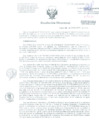 Vista preliminar de documento Resolucion de Dirección General