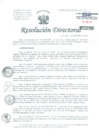 Vista preliminar de documento Resolucion de Dirección General