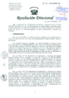 Vista preliminar de documento Resolucion de Dirección General