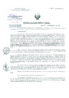 Vista preliminar de documento Resolucion de Dirección General