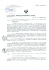 Vista preliminar de documento Resolucion de Dirección General