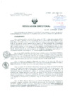 Vista preliminar de documento Resolucion de Dirección General