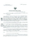 Vista preliminar de documento Resolucion de Dirección General