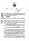 Vista preliminar de documento 982-2020-IN (Aprobar reasignación en el cargo por necesidad del servicio, sin costo para el Estado, de los Oficiales Superiores PNP Alejandro Castillo Carlos y otros)