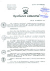 Vista preliminar de documento Resolucion de Dirección General