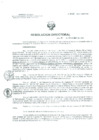 Vista preliminar de documento Resolucion de Dirección General