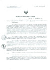 Vista preliminar de documento Resolucion de Dirección General