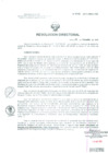 Vista preliminar de documento Resolucion de Dirección General