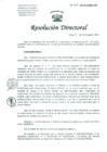 Vista preliminar de documento Resolucion de Dirección General