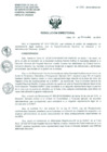 Vista preliminar de documento Resolucion de Dirección General