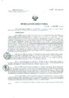Vista preliminar de documento Resolucion de Dirección General