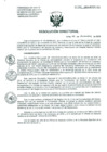 Vista preliminar de documento Resolucion de Dirección General