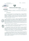 Vista preliminar de documento Resolucion de Dirección General