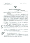 Vista preliminar de documento Resolucion de Dirección General