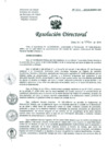 Vista preliminar de documento Resolucion de Dirección General
