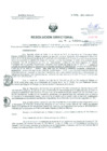 Vista preliminar de documento Resolucion de Dirección General