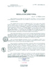 Vista preliminar de documento Resolucion de Dirección General