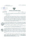 Vista preliminar de documento Resolucion de Dirección General