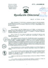 Vista preliminar de documento Resolucion de Dirección General