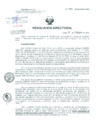 Vista preliminar de documento Resolucion de Dirección General