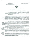 Vista preliminar de documento Resolucion de Dirección General