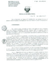 Vista preliminar de documento Resolucion de Dirección General