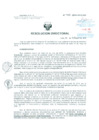 Vista preliminar de documento Resolucion de Dirección General