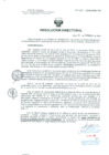 Vista preliminar de documento Resolucion de Dirección General